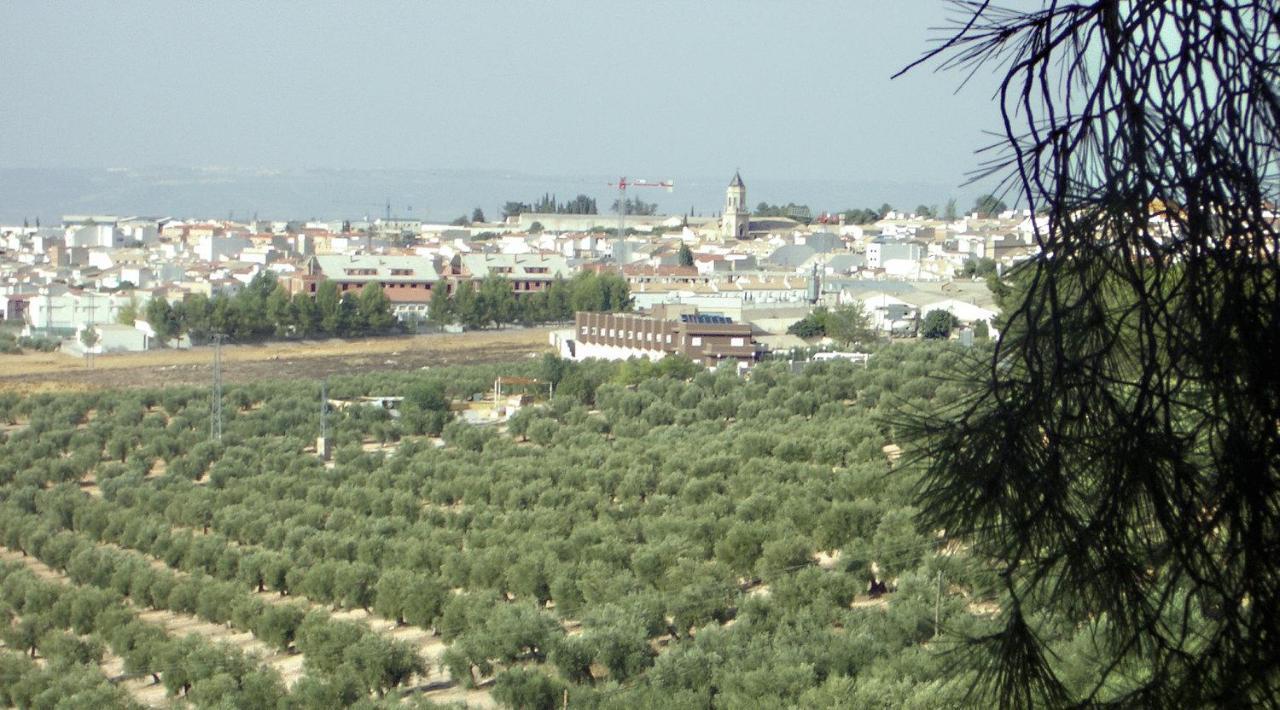 Hotel La Zambra Mancha Real Zewnętrze zdjęcie